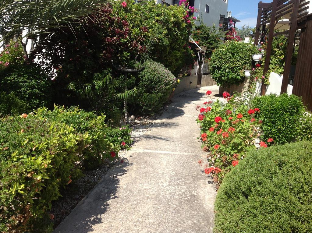 فيلا Paphos Townhouse المظهر الخارجي الصورة